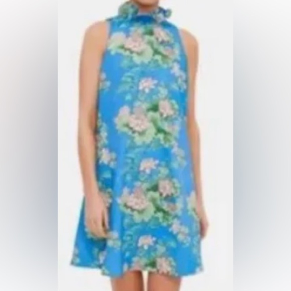 Tuckernuck Blythe dress blue floral